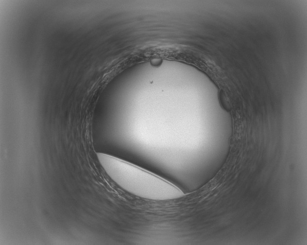 X0000081281109200701110926