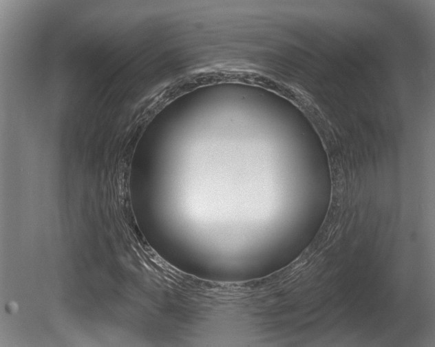 X0000081281110200701110926
