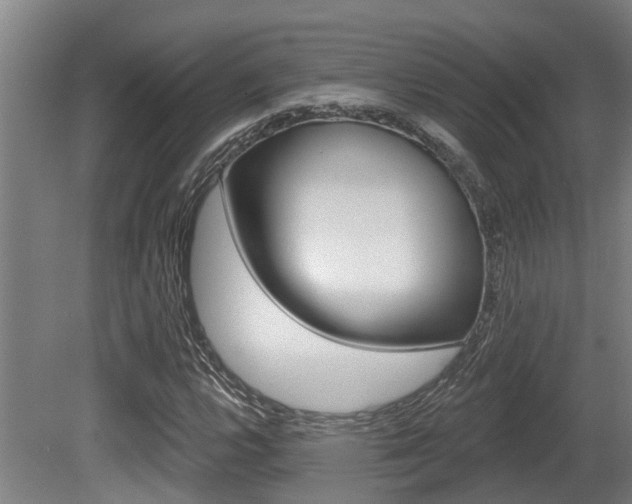X0000081281112200701110927
