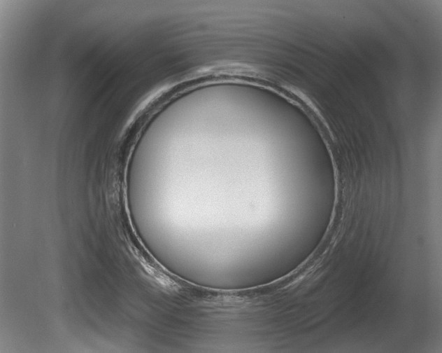 X0000081281115200701110927