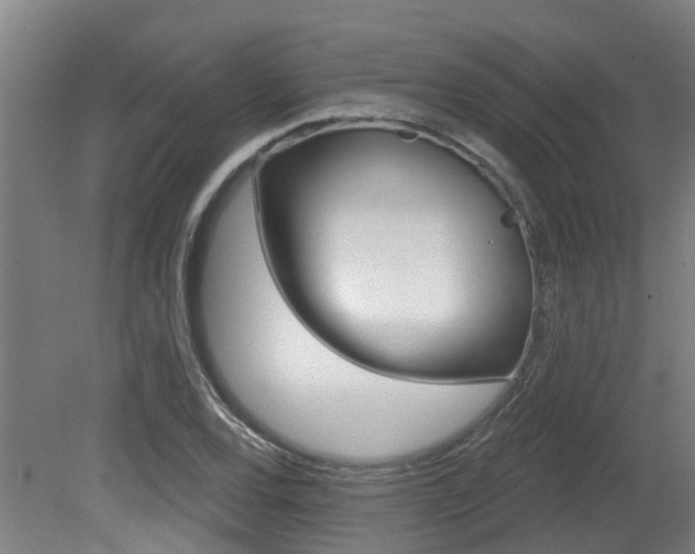 X0000081281120200701110927