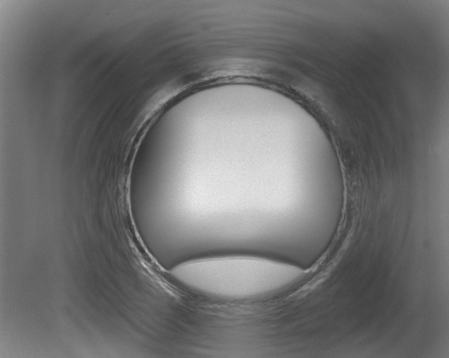 X0000081281121200701110927
