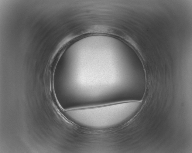 X0000081281123200701110927