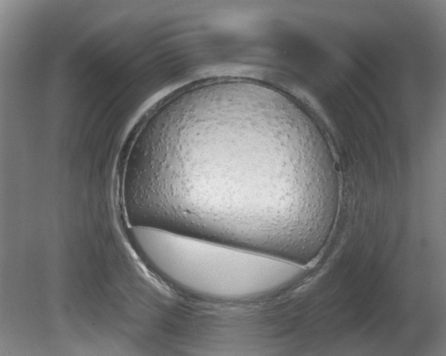 X0000081281125200701110927
