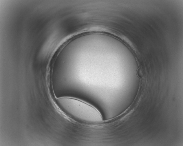 X0000081281126200701110927