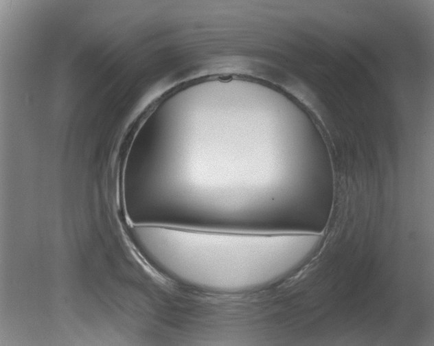 X0000081281127200701110927