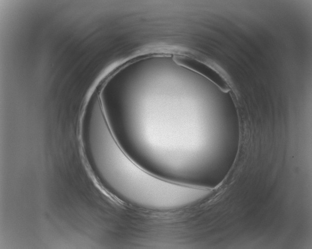 X0000081281128200701110927