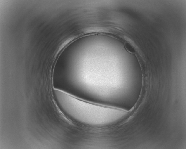 X0000081281129200701110927