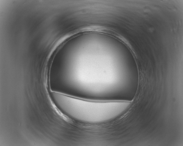 X0000081281131200701110927