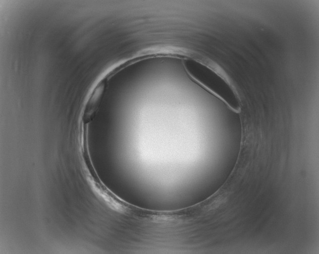 X0000081281132200701110927