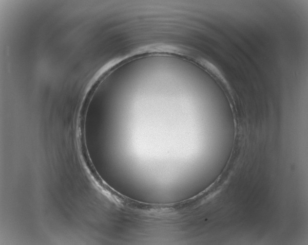 X0000081281133200701110927