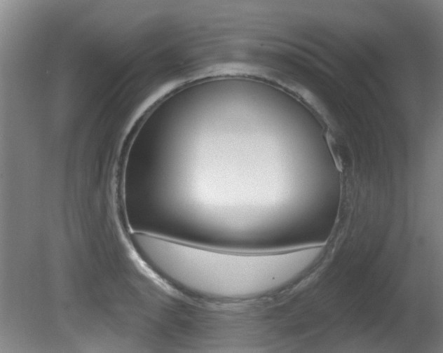 X0000081281134200701110927