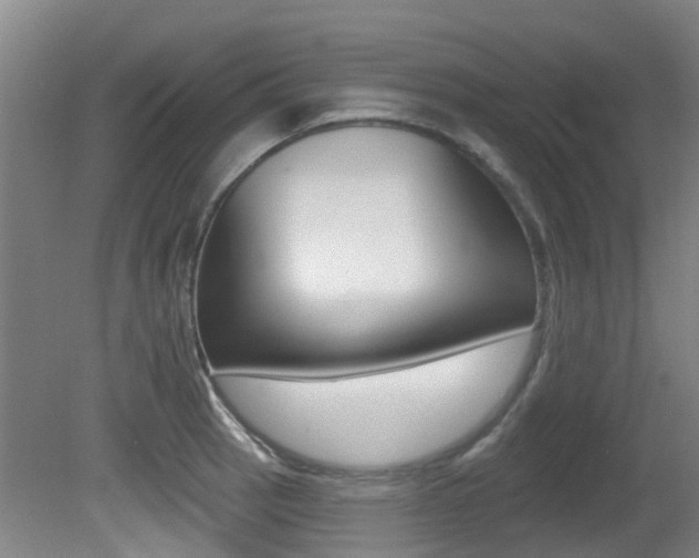 X0000081281137200701110927