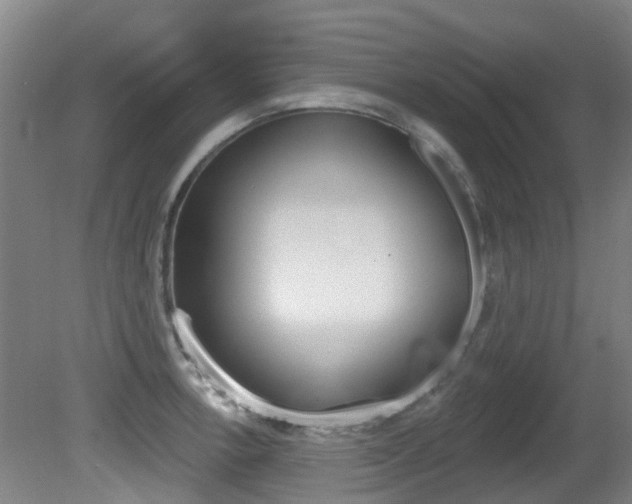 X0000081281138200701110927