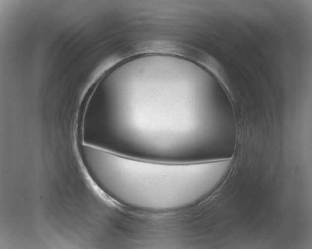 X0000081281139200701110927