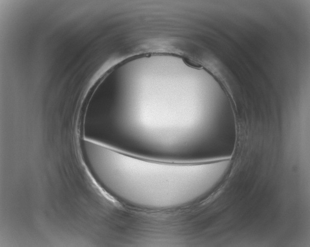 X0000081281141200701110927