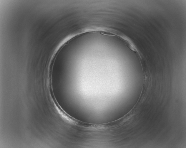 X0000081281143200701110927