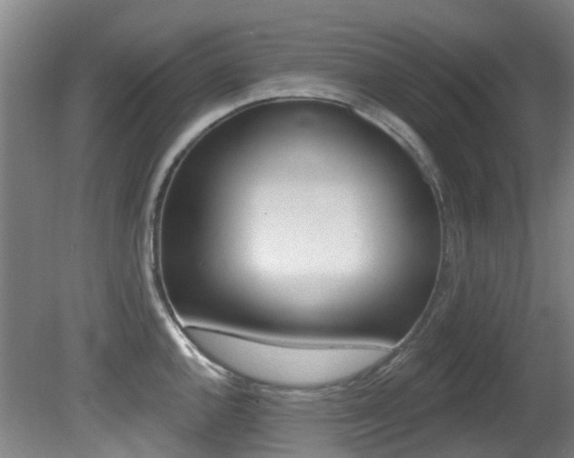 X0000081281144200701110927