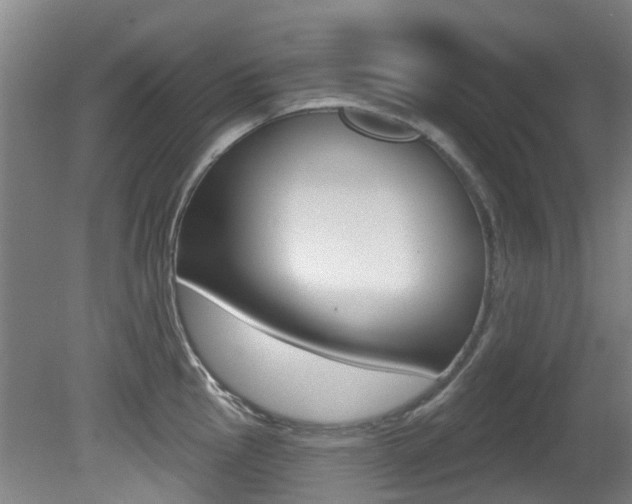 X0000081281145200701110927