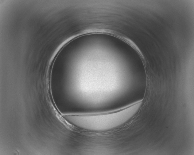 X0000081281148200701110927