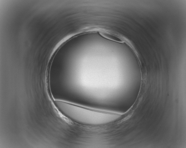 X0000081281149200701110927