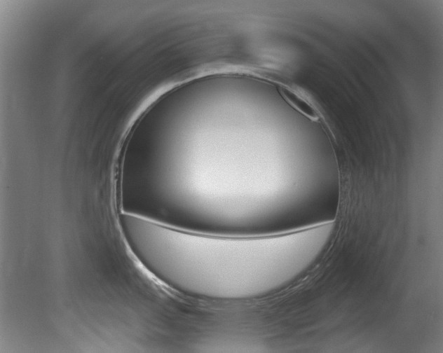X0000081281151200701110927