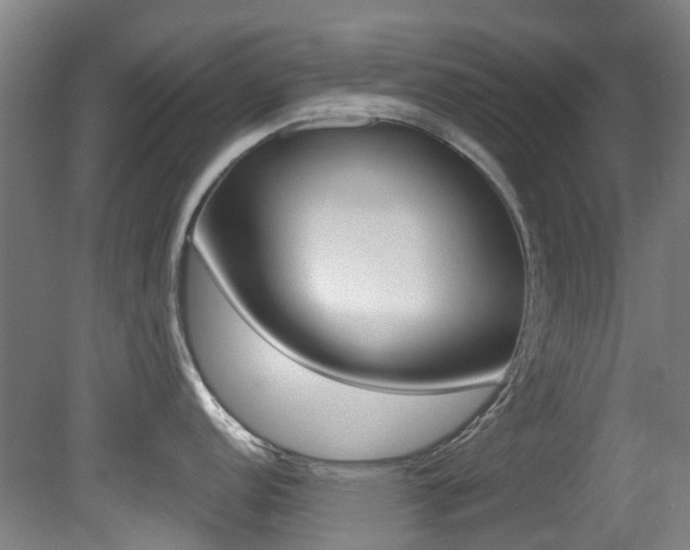 X0000081281152200701110927