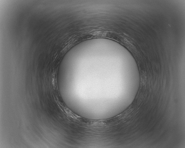 X0000081281154200701110926
