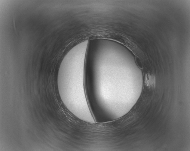 X0000081281155200701110926