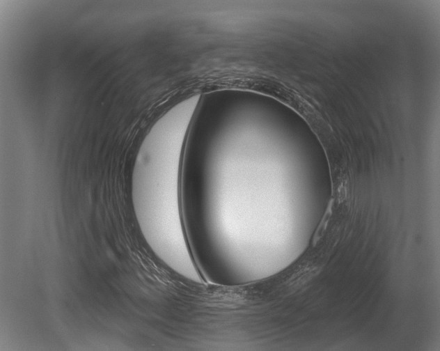 X0000081281156200701110926