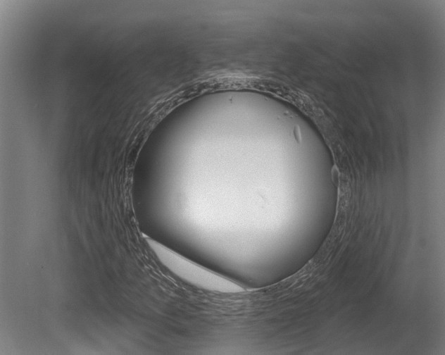 X0000081281157200701110926