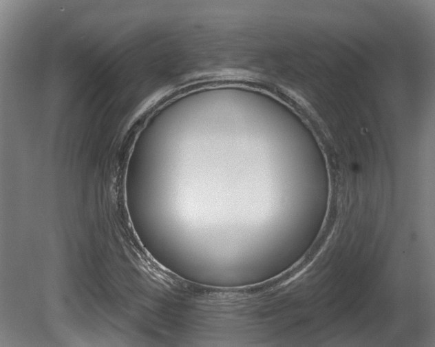 X0000081281163200701110926