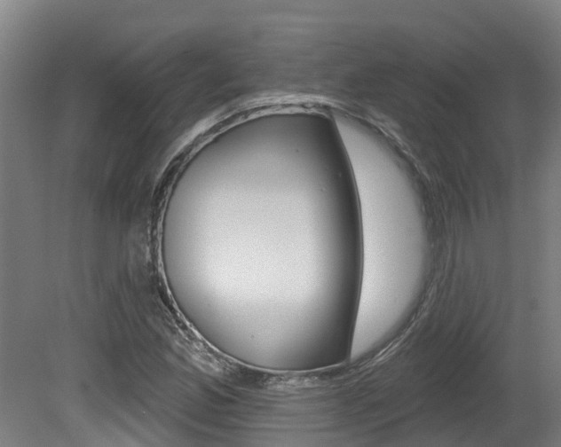 X0000081281165200701110926