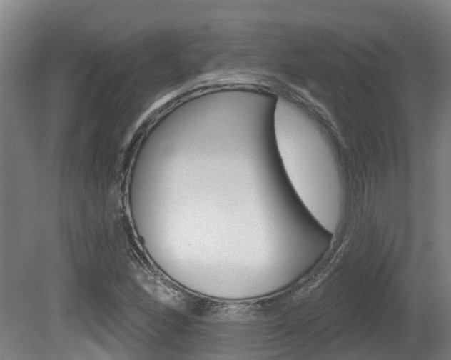 X0000081281166200701110926