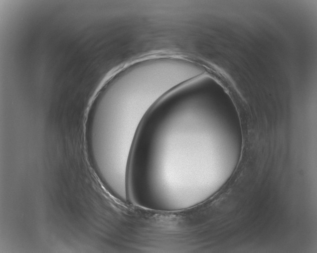 X0000081281168200701110926