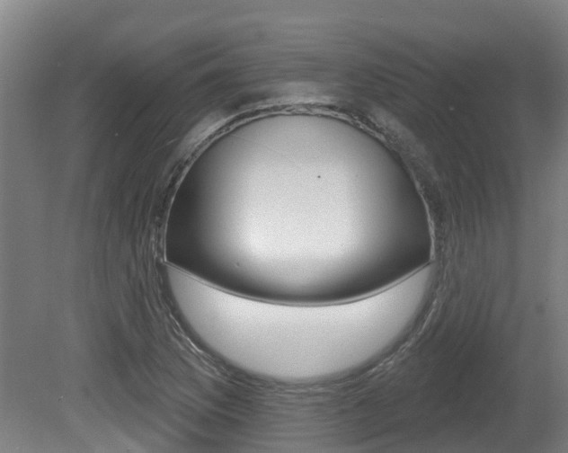X0000081281169200701110926