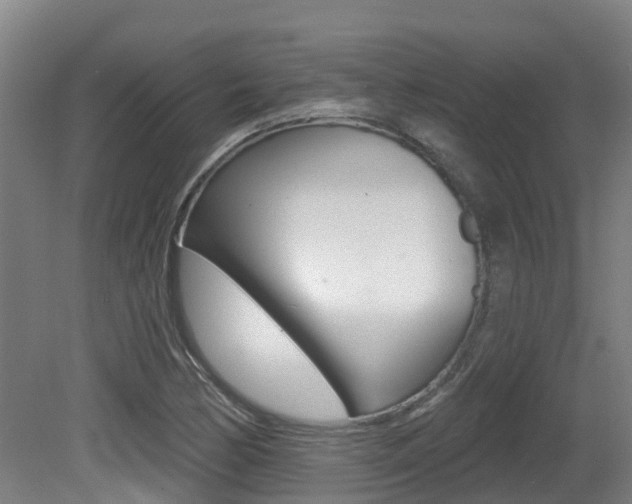 X0000081281170200701110926