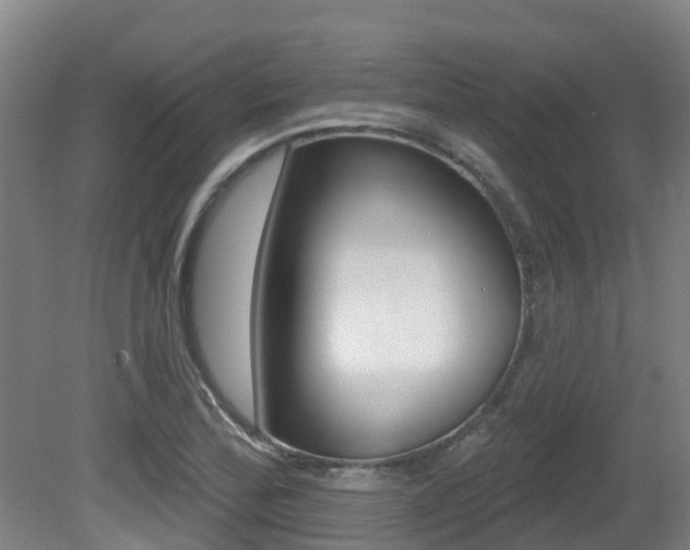 X0000081281172200701110926