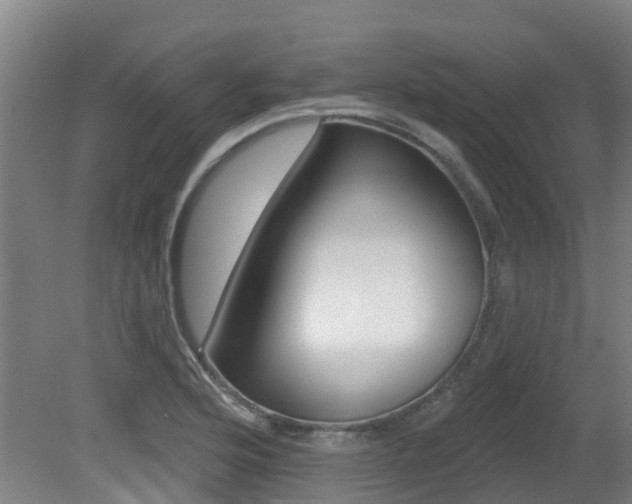X0000081281176200701110926