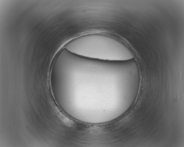 X0000081281178200701110926