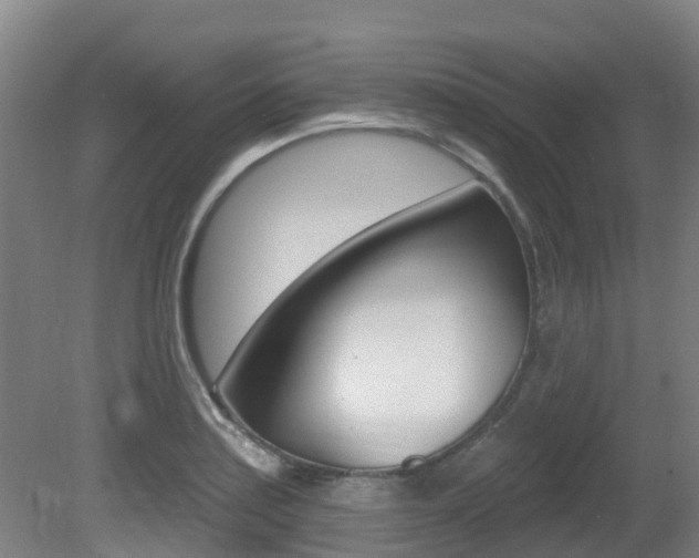 X0000081281179200701110926