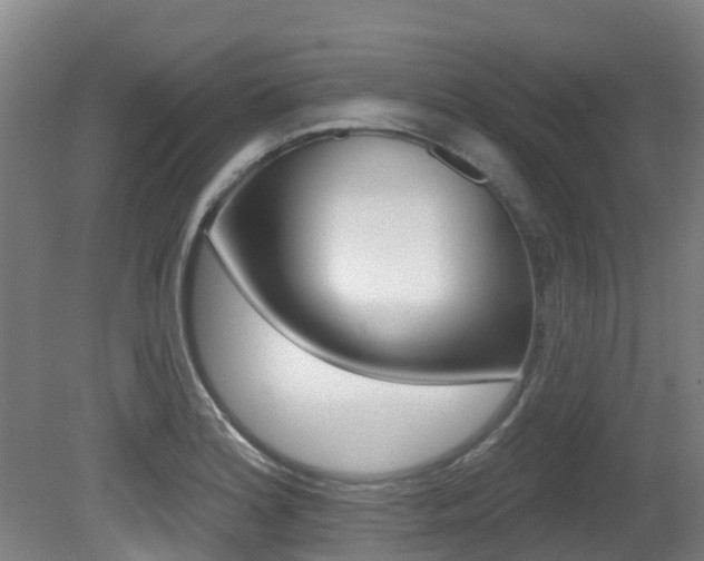 X0000081281180200701110926