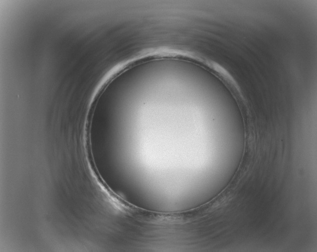 X0000081281183200701110926