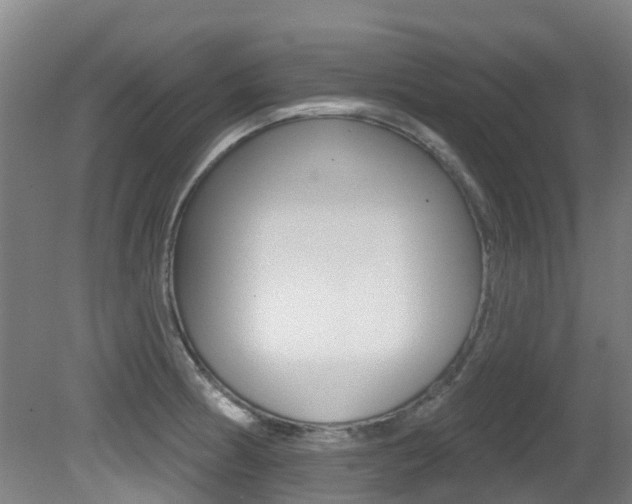 X0000081281186200701110926