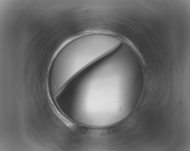 X0000081281187200701110926