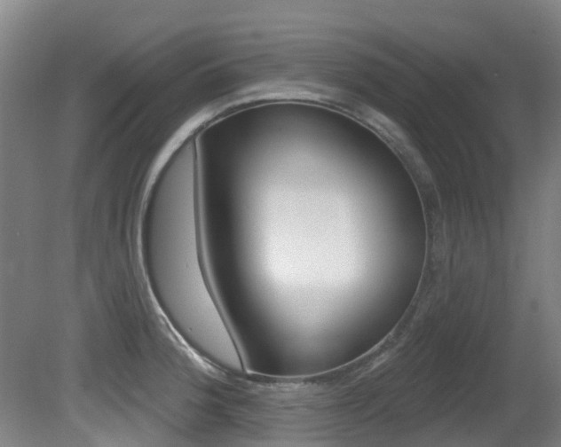 X0000081281188200701110926