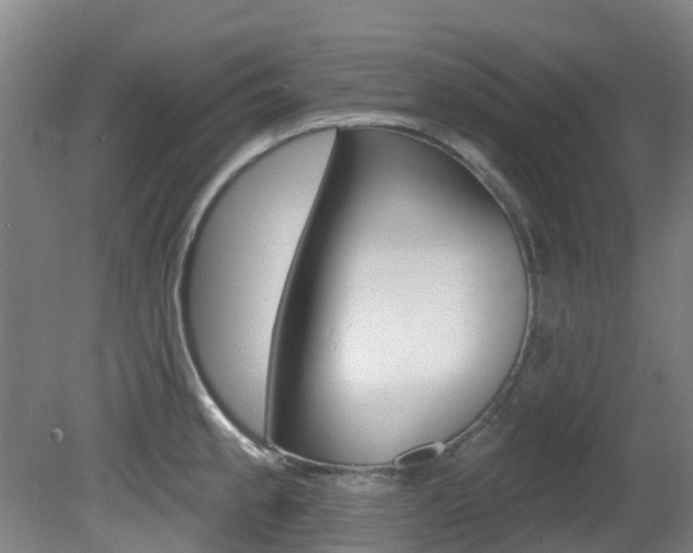 X0000081281189200701110926