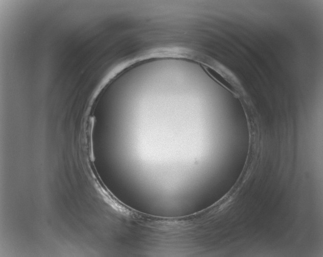 X0000081281192200701110926