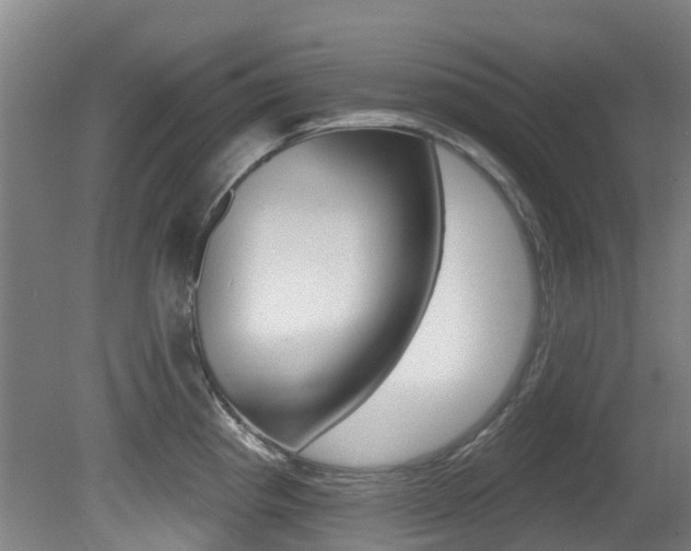 X0000081281193200701110926