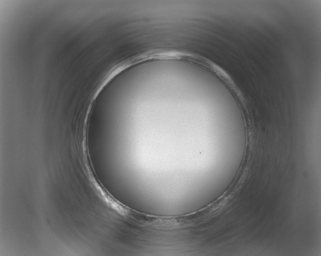 X0000081281194200701110926